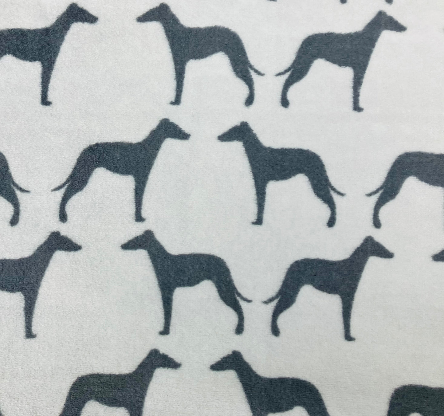 Grey on Grey Whippets