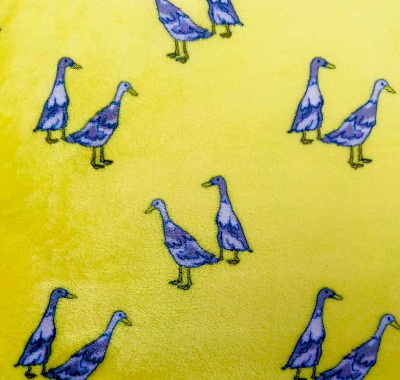 Paddle & Waddle Ducks