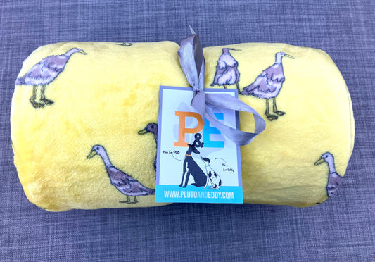 Paddle & Waddle Ducks