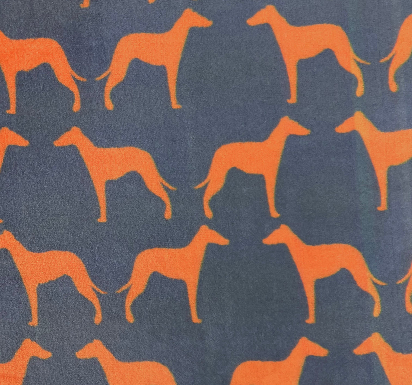 Tango Orange Whippets