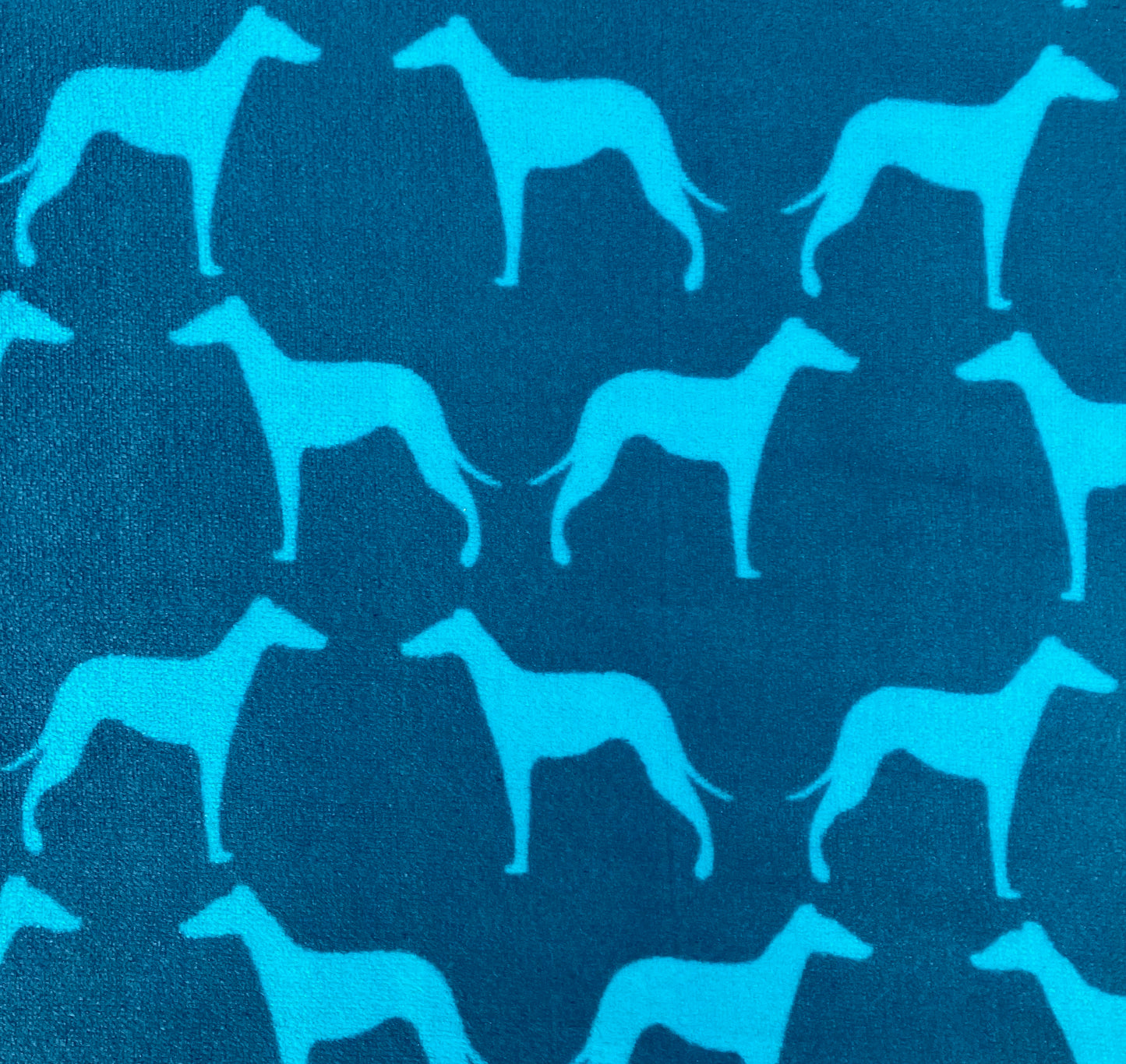 Kingfisher Blue Whippets