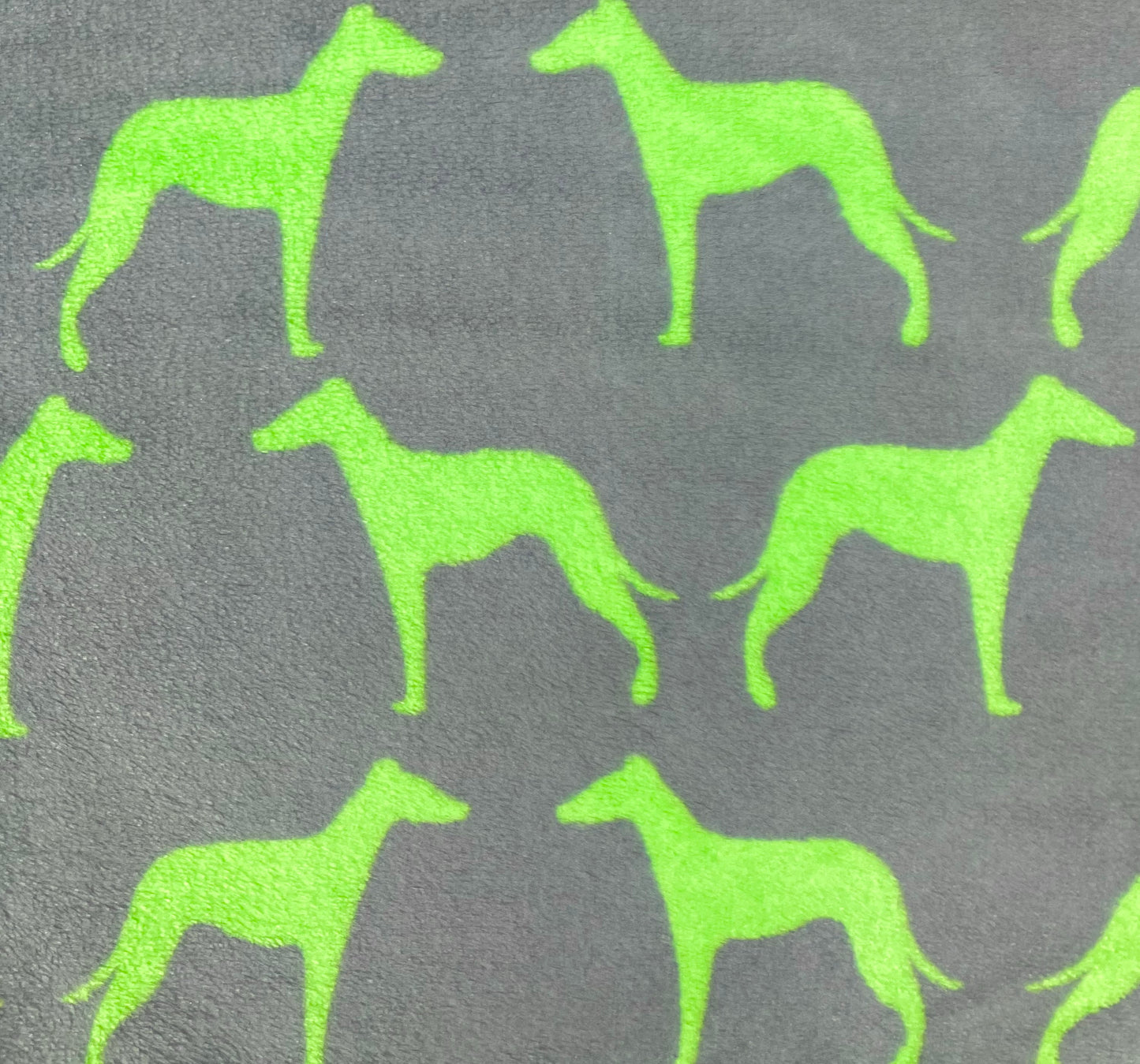 Lime Green Whippets