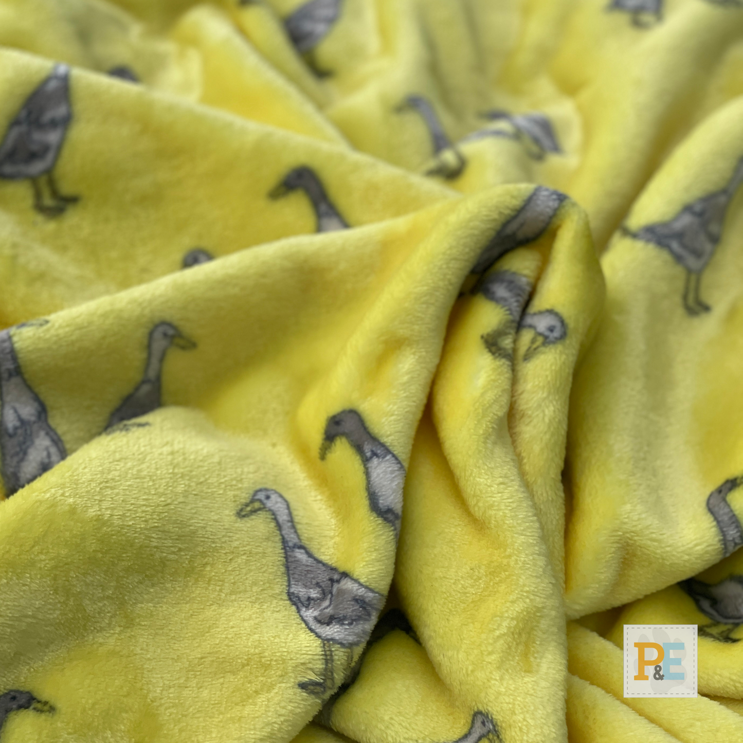 Paddle & Waddle Ducks