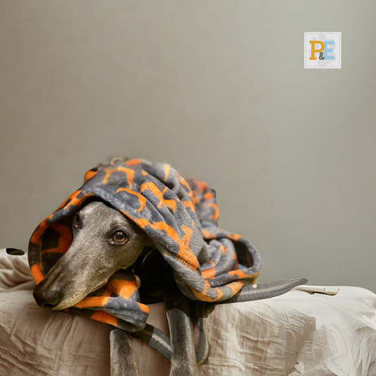 Tango Orange Whippets