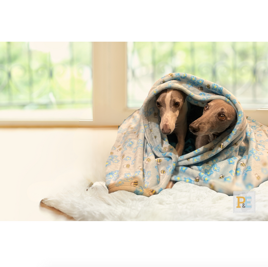 Busy Bees & Forgetmenots